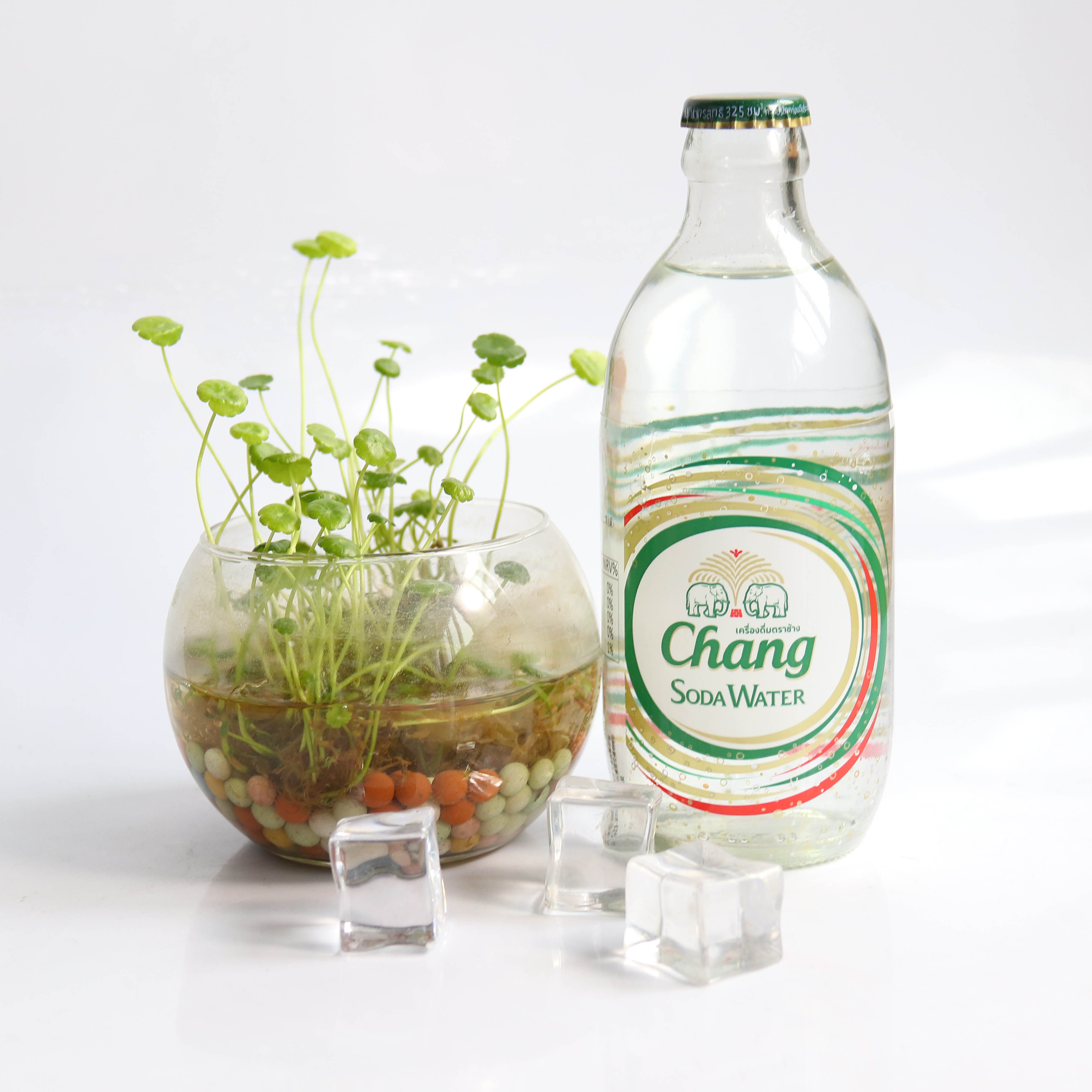 泰国进口chang大象苏打水325ml整箱天然天然气气泡气泡水