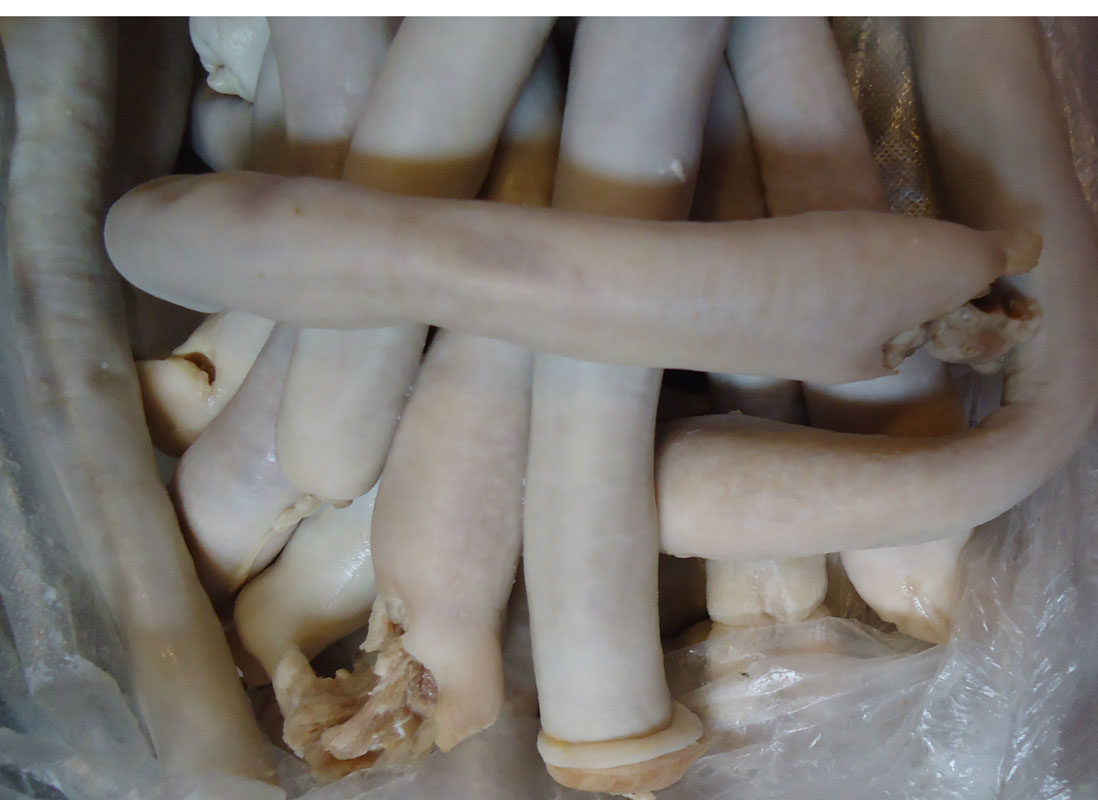 熟猪肚芯500克一斤 包邮 水煮熟食猪肚心食道食管 干煸香辣下酒菜