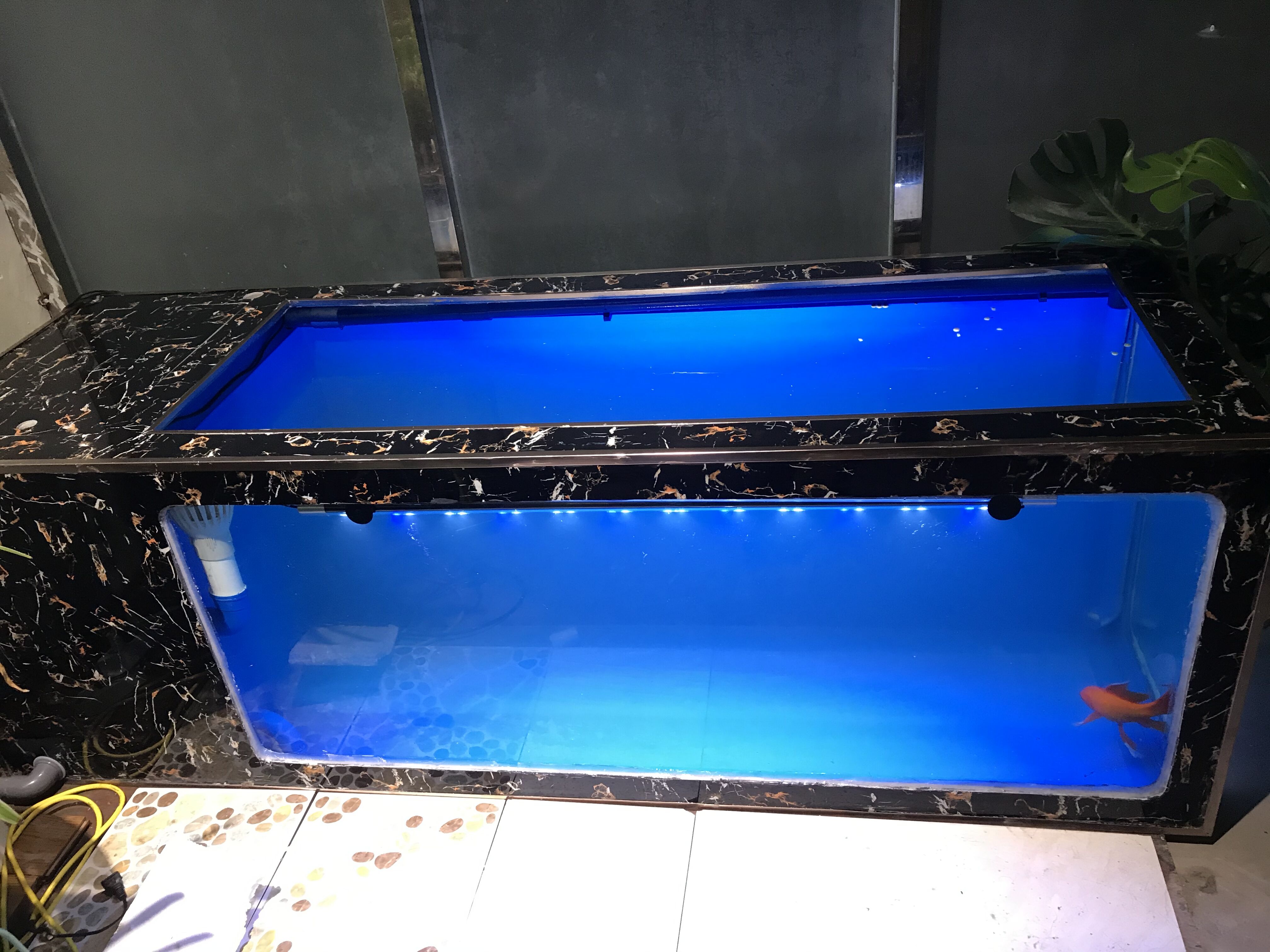 鱼缸定制轻体地玻璃钢锦鲤生态池侧水族换水大中型鱼缸