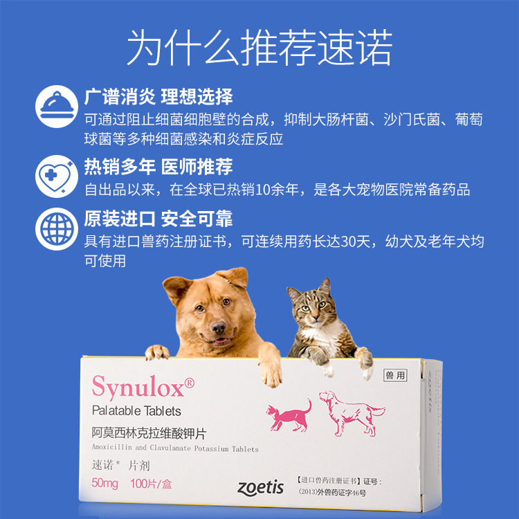 猫咪皮肤感染消炎药速诺片 速诺50mg猫鼻支口炎狗狗咳嗽感冒10粒装