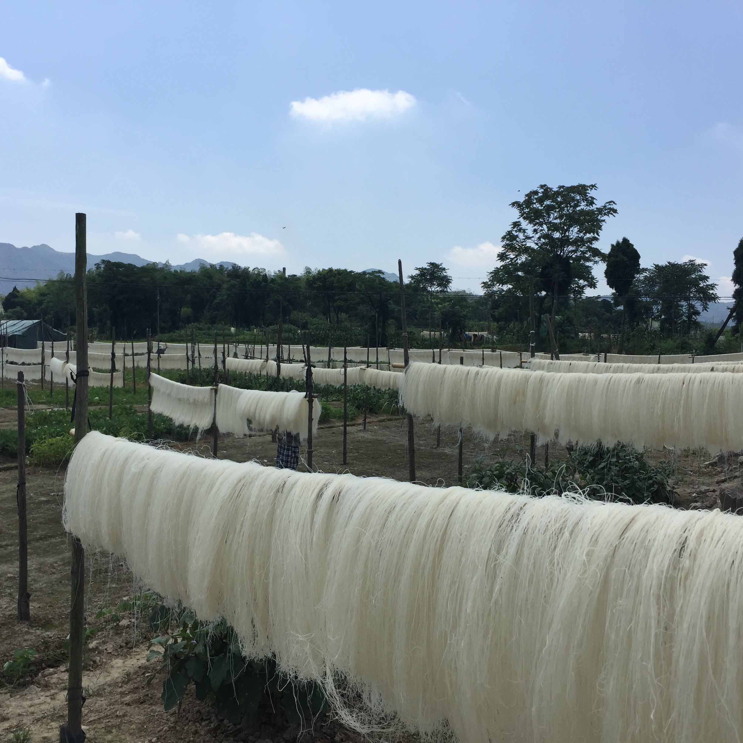 米面台州临海特产炒面的面粗粮面条干面面线糊细粉干米粉大米热销