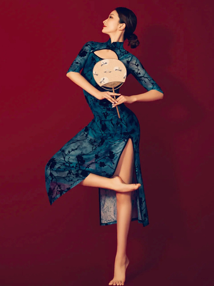 古典旗袍舞蹈服女写真成人现代中国舞练功服身古典舞服