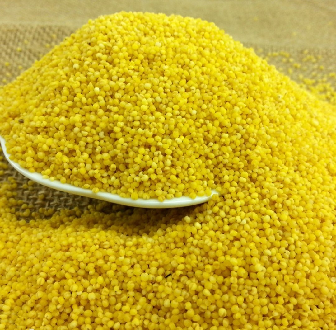 福润金苗装包2斤一袋米宝宝月子大金东方小米赤峰小米