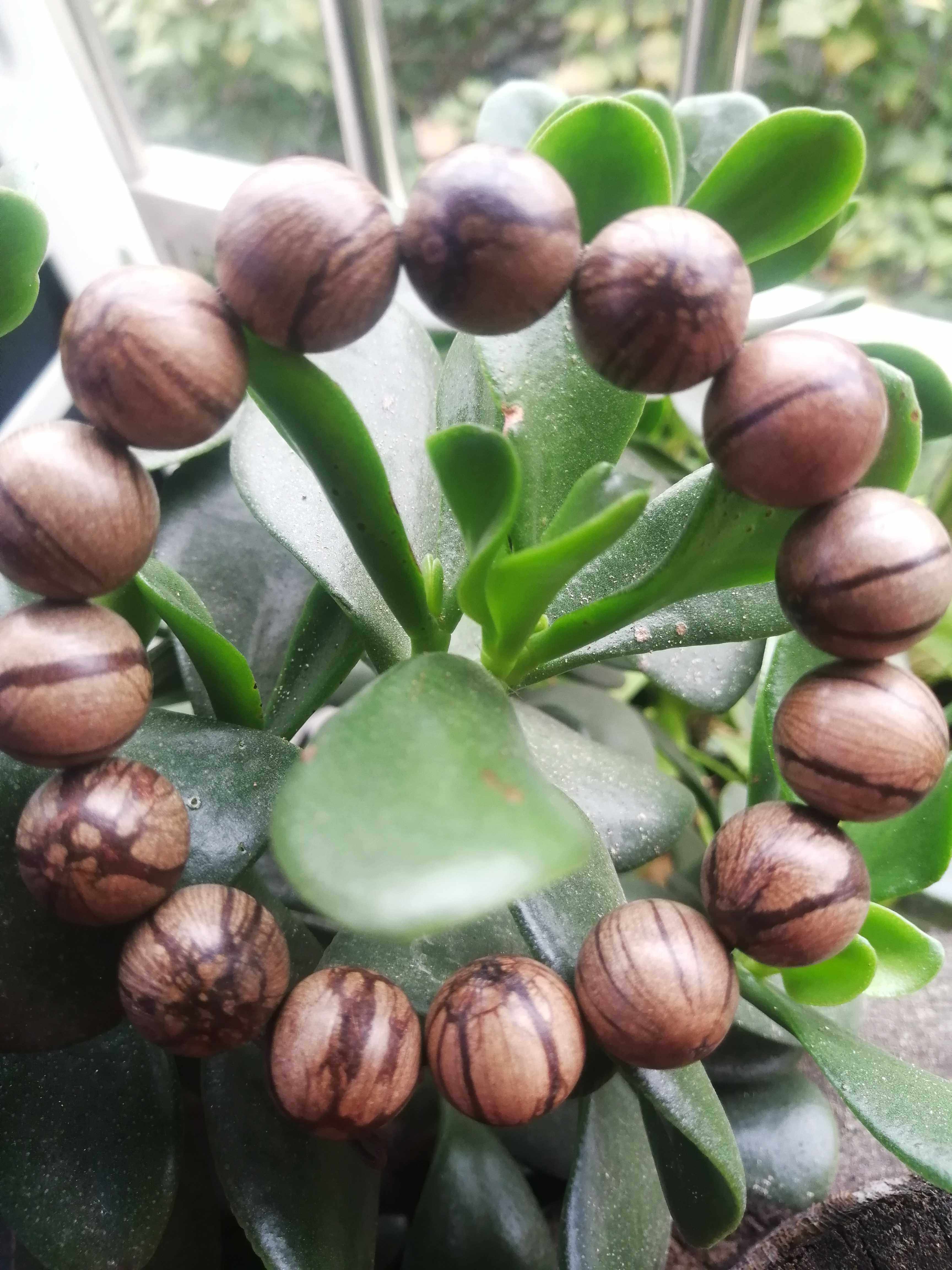 九龙龙腾木质手串菩提108颗佛珠念珠把玩挂件佛珠