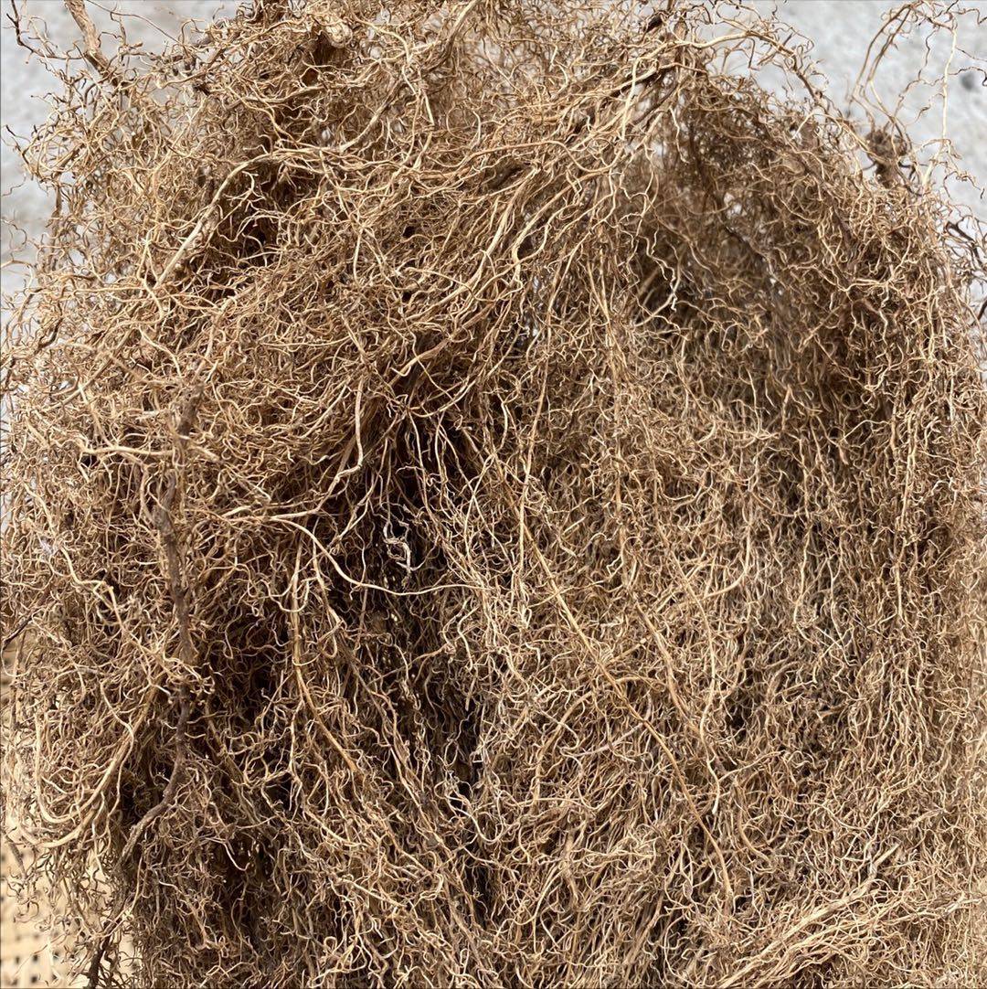 白龙白金条250克白筋条金条八角枫药材中草野生地产其他药食同源食品