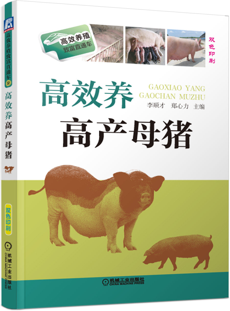 正版书籍 高效养高产母猪 养猪技术大全 专业饲养教程书籍 母猪培育