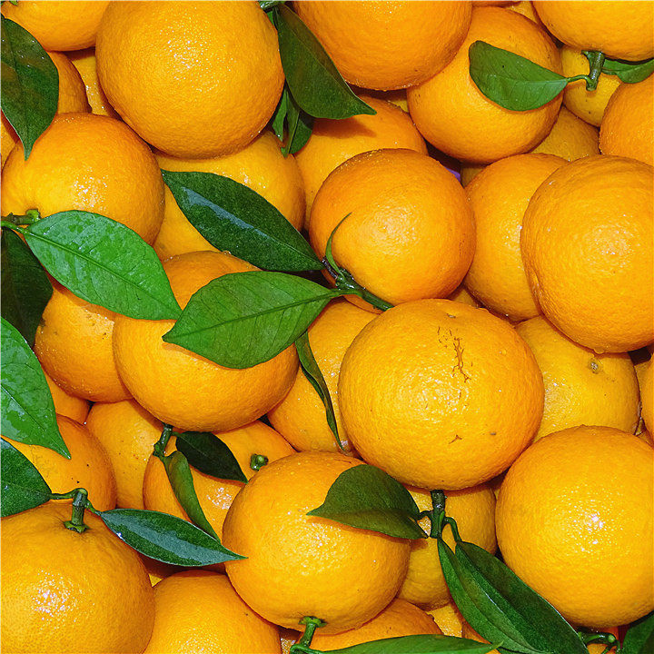 现摘广西桂林香橙纯甜橙子当季新鲜水果蜂蜜橙