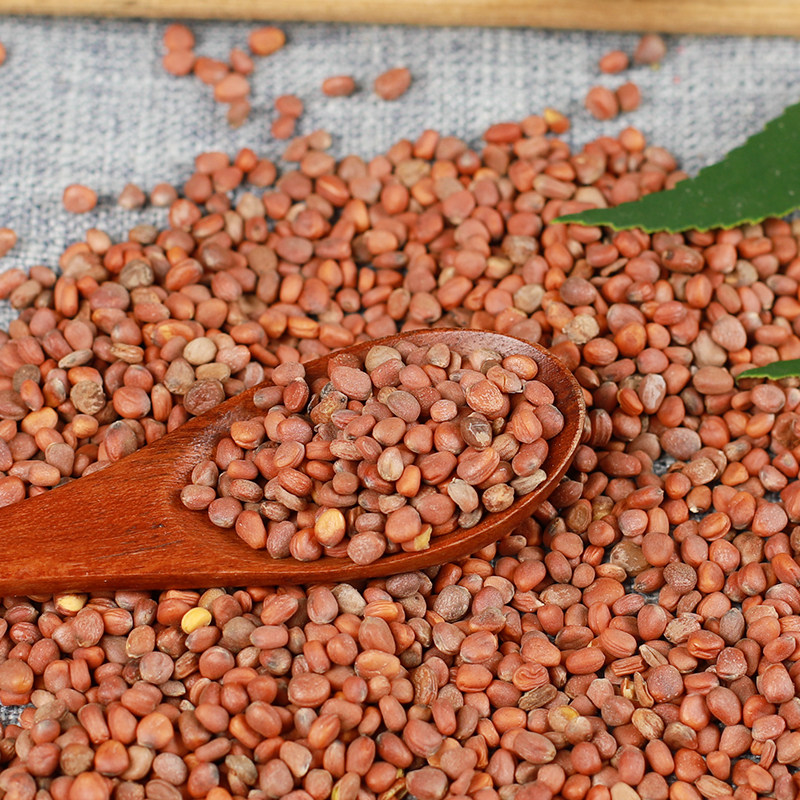 店铺精选莱菔子白萝卜籽50g萝卜子莱菔子白萝卜口碑好店