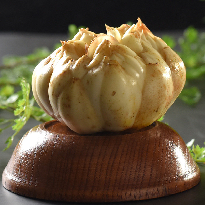 正宗宜兴鲜药百合新鲜食用5斤龙牙兰州江苏省新鲜百合