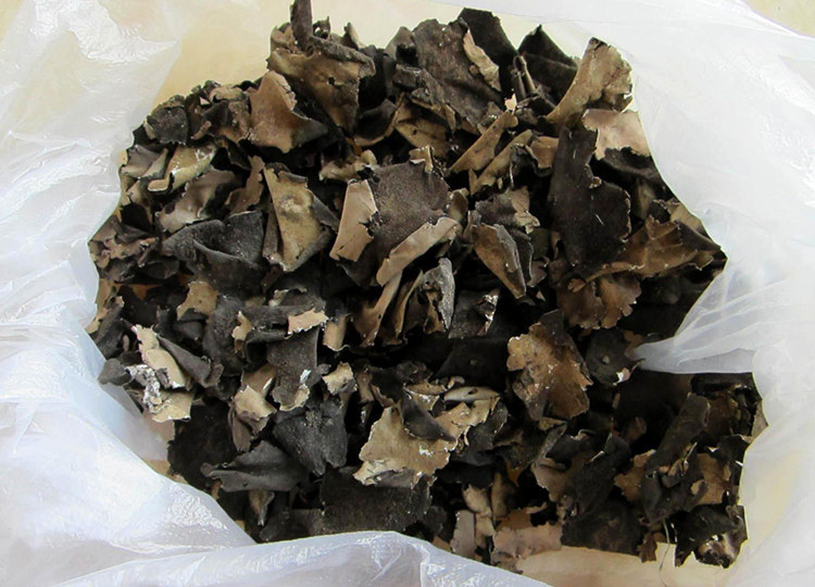 张家界土特产纯野野生岩耳石耳250g包邮土家珍品香菇类