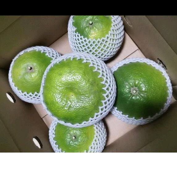 云南新鲜水果柚子台湾小青葡萄柚甜橙柚子