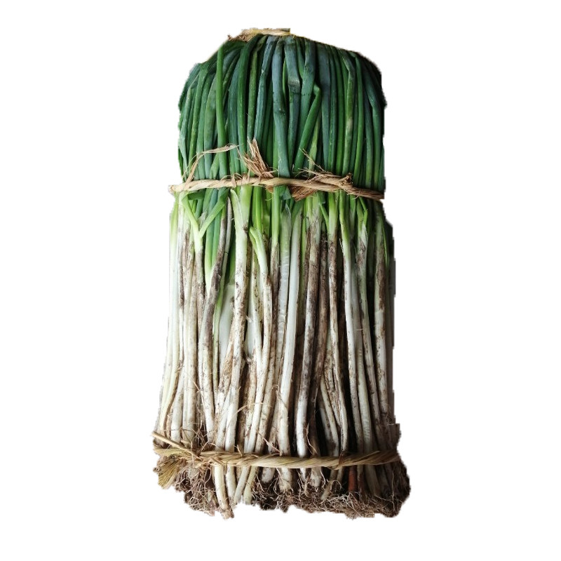 大葱四川新鲜葱黄农家自种葱白本地葱小细葱葱类