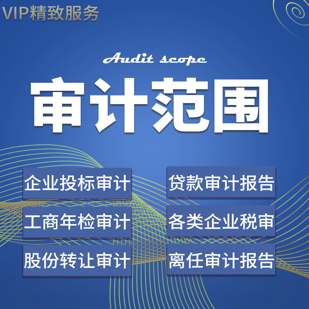 年度审计报告投标年检验资报告资产评估报告高新财务报表审计代做