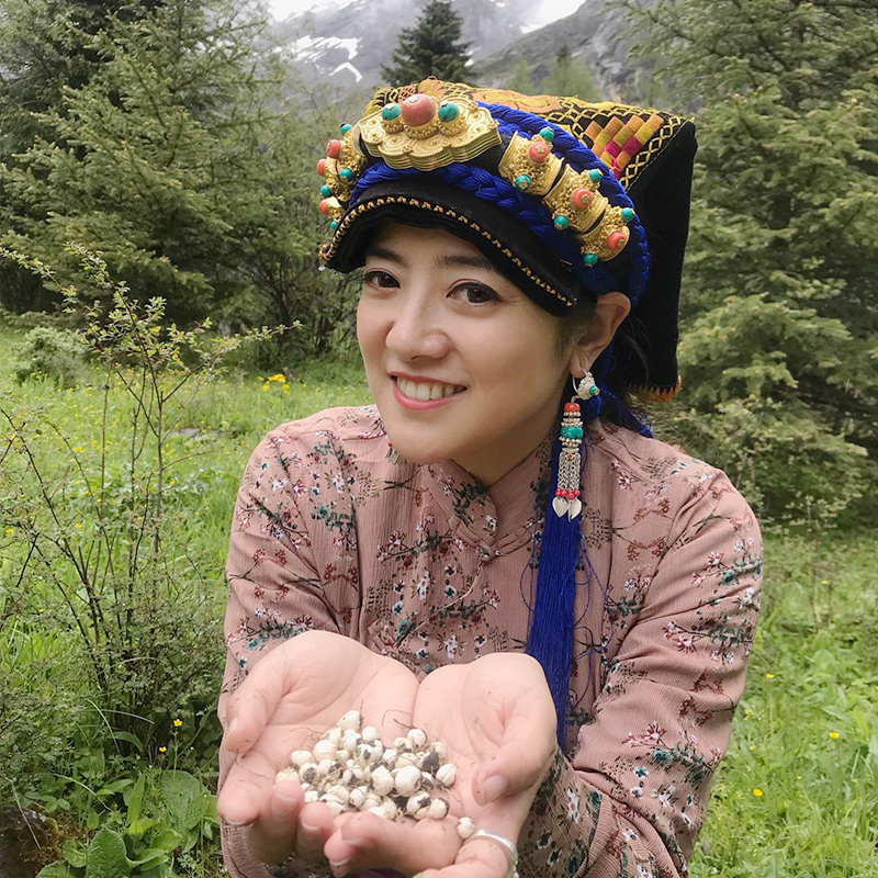 嘉绒姐姐阿娟高原野生非特级川贝干货野生特产川贝50g