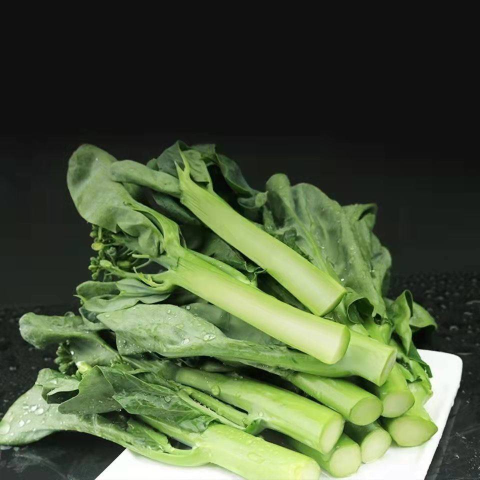 新鲜精选当季广东芥兰芥蓝现摘现发绿色时令叶菜类