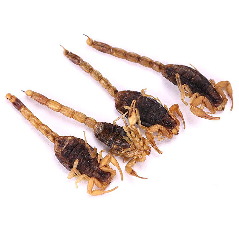 中药材沂蒙十足全蝎100克包邮清水全虫八成干钳其他药食同源食品