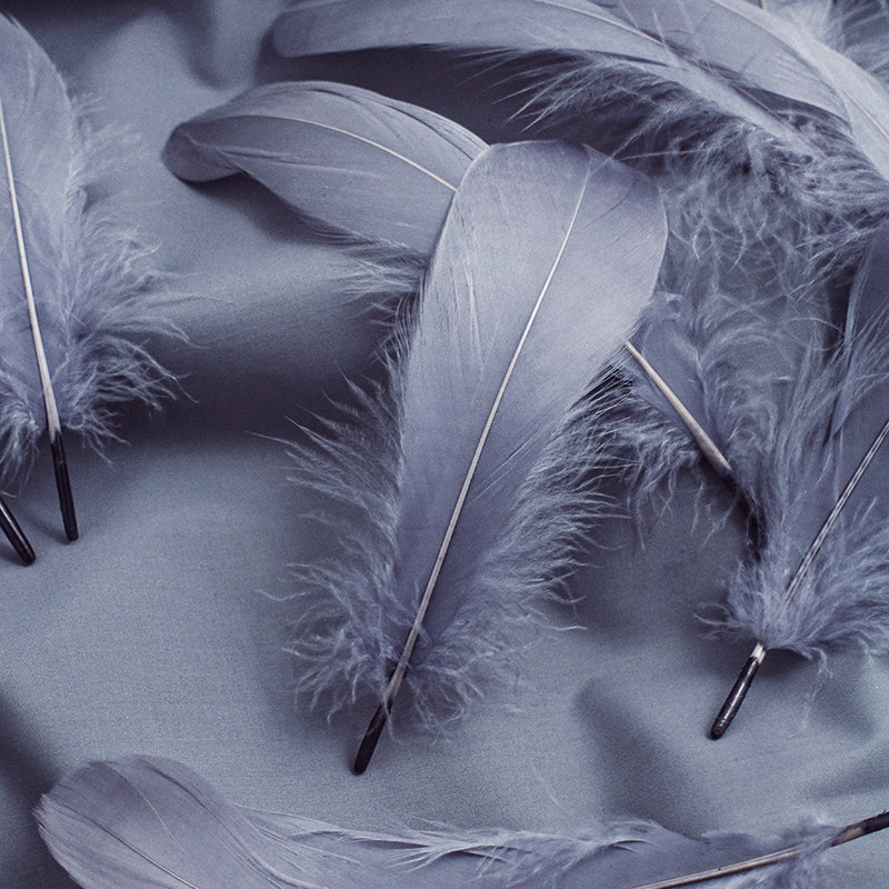 ins灰色羽毛房间装饰品摆拍照相摄影美甲摆件辅助道具类