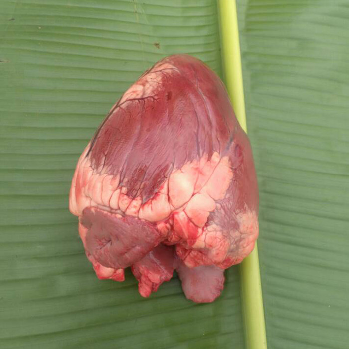 蓉羊子生鲜农家新品生态高原放养新鲜现宰阿坝牦牛肉心宠物卤牛心