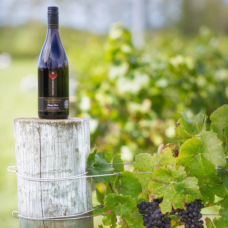 新西兰进口villamaria新玛利玛利单一葡萄园泰勒帕斯干红静态葡萄酒