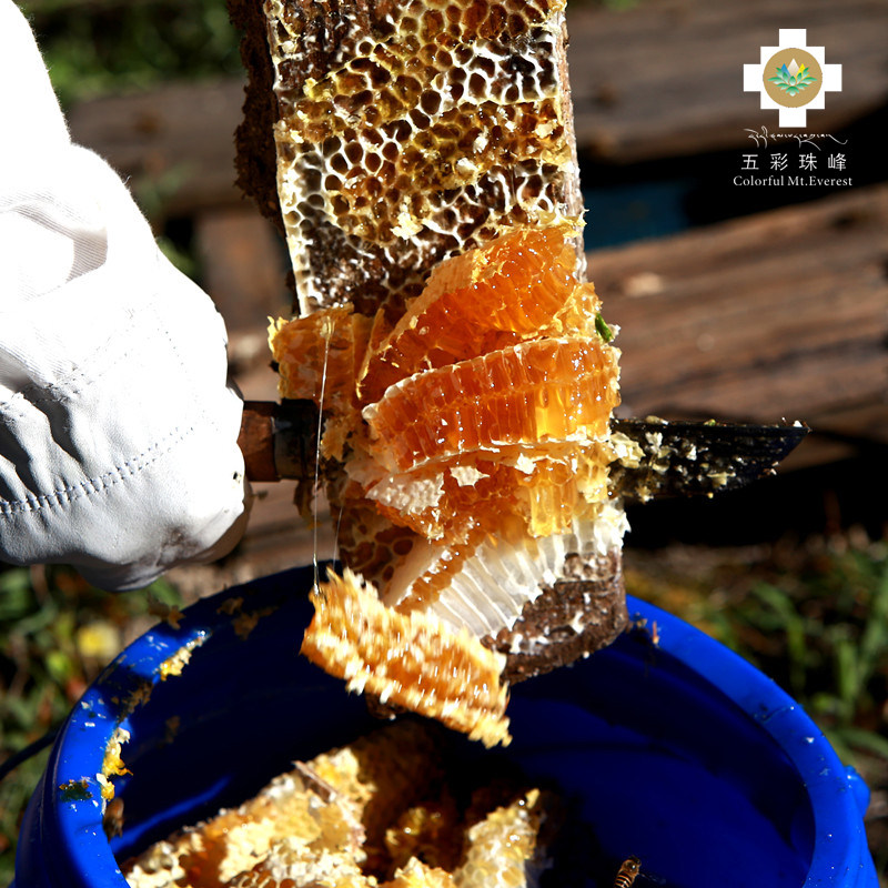 五彩珠峰西藏蜂蜜天然原生态百花蜜无污染高原藏蜜陶瓷礼盒
