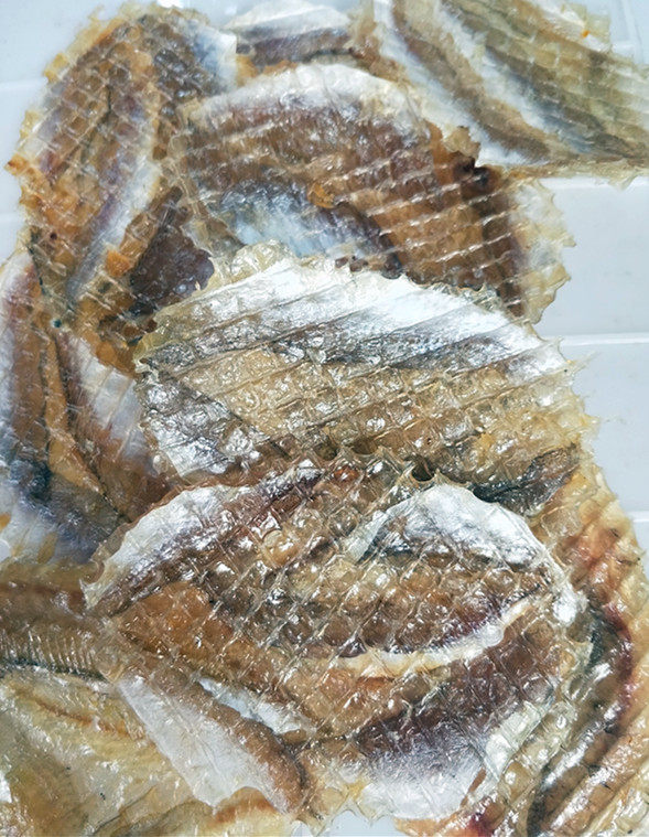 鱼片烧烤食材鱼干多宝多宝鱼面包马面狮子鱼多味鱼干