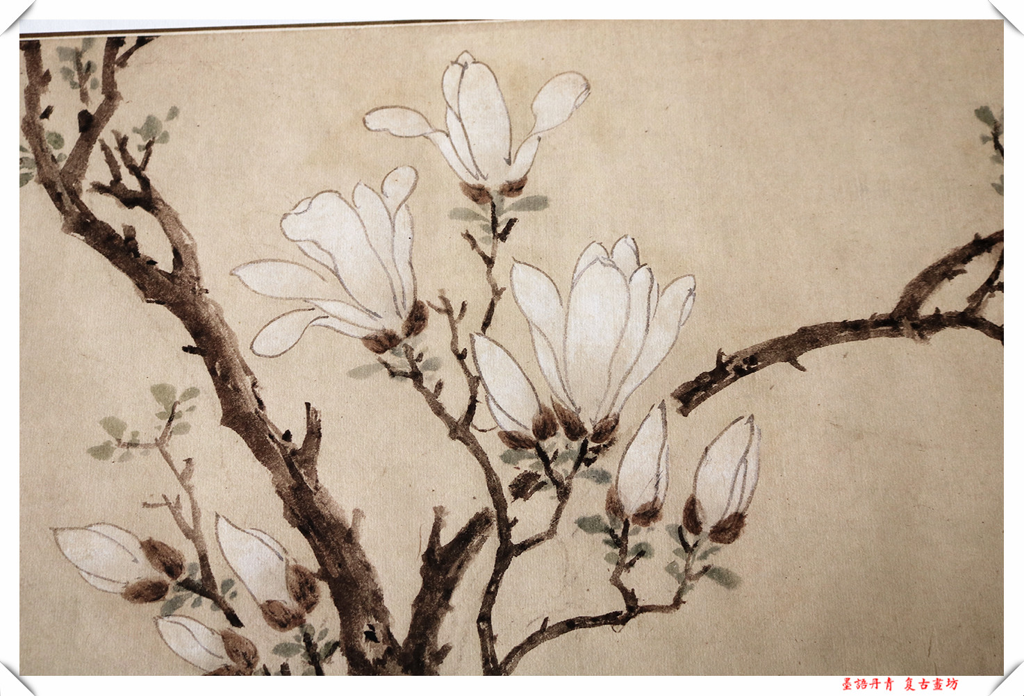 包邮文徵明白玉兰图卷宣纸画芯古画原作高清复制国画