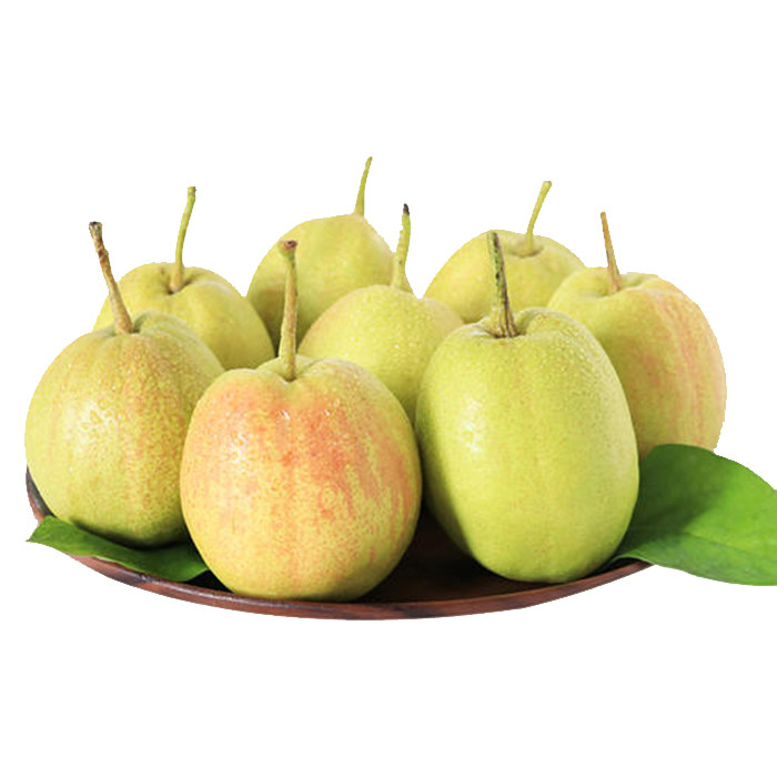 新疆直发库尔勒全母梨子香梨当季新鲜梨