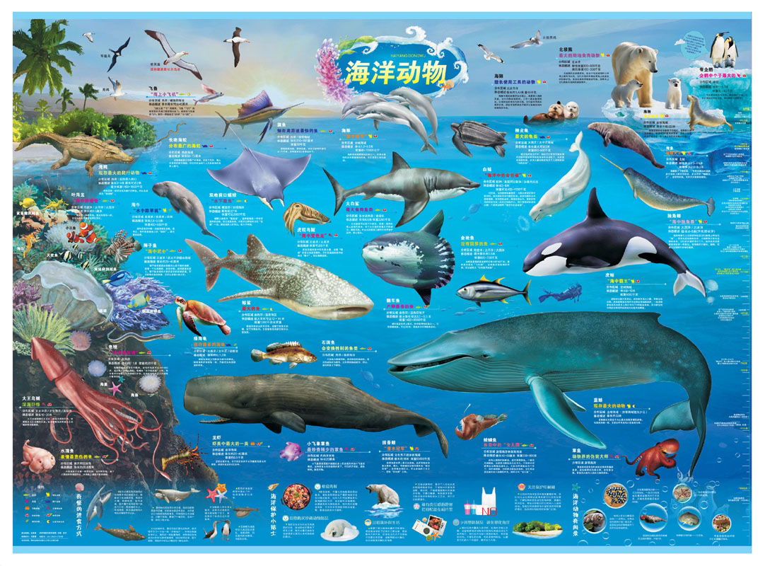 地图儿童海洋百科科普贴图专用房间少儿海洋世界世界行政区划图