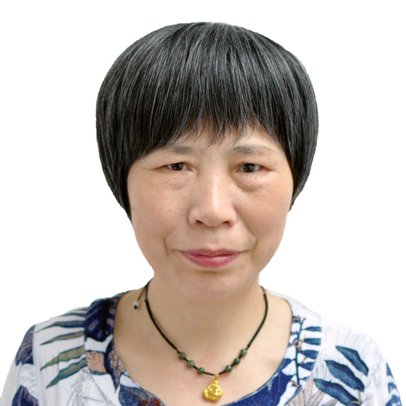 老年人花白假发短发真发奶奶白色头套逼真自然日常整顶假发