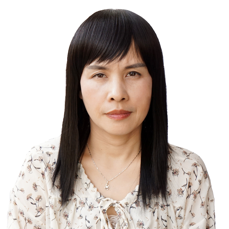 中年女士假发长直中老年妈妈长发逼真整顶假发