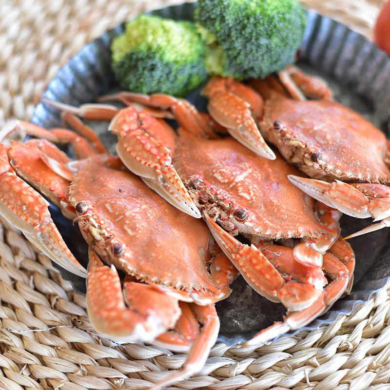 梭子蟹肉东山野生海鲜海蟹螃蟹鲜活饱满4件青蟹