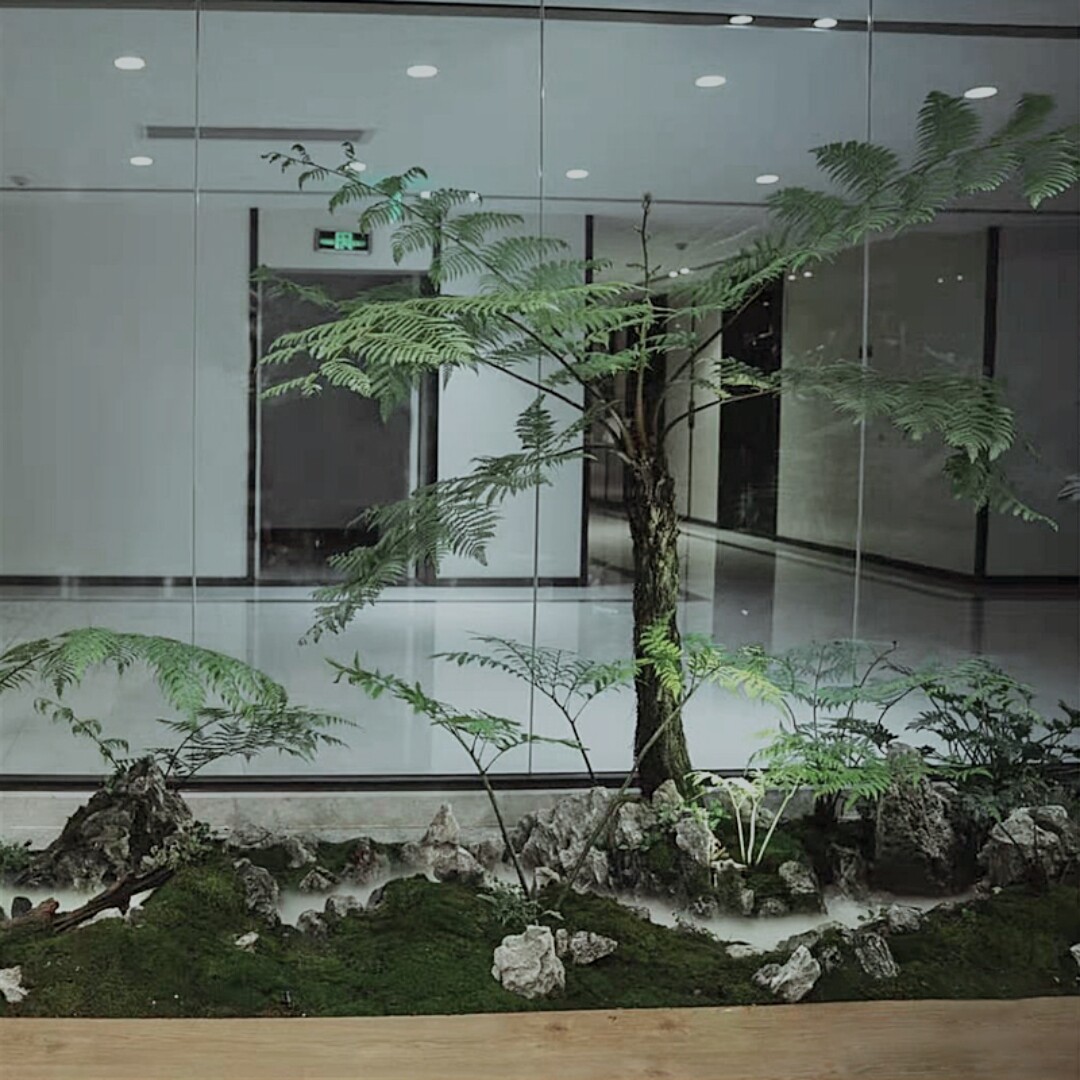 仿生绿植室内玄关落地造景金毛猴蕨定制森系仿真植物盆景