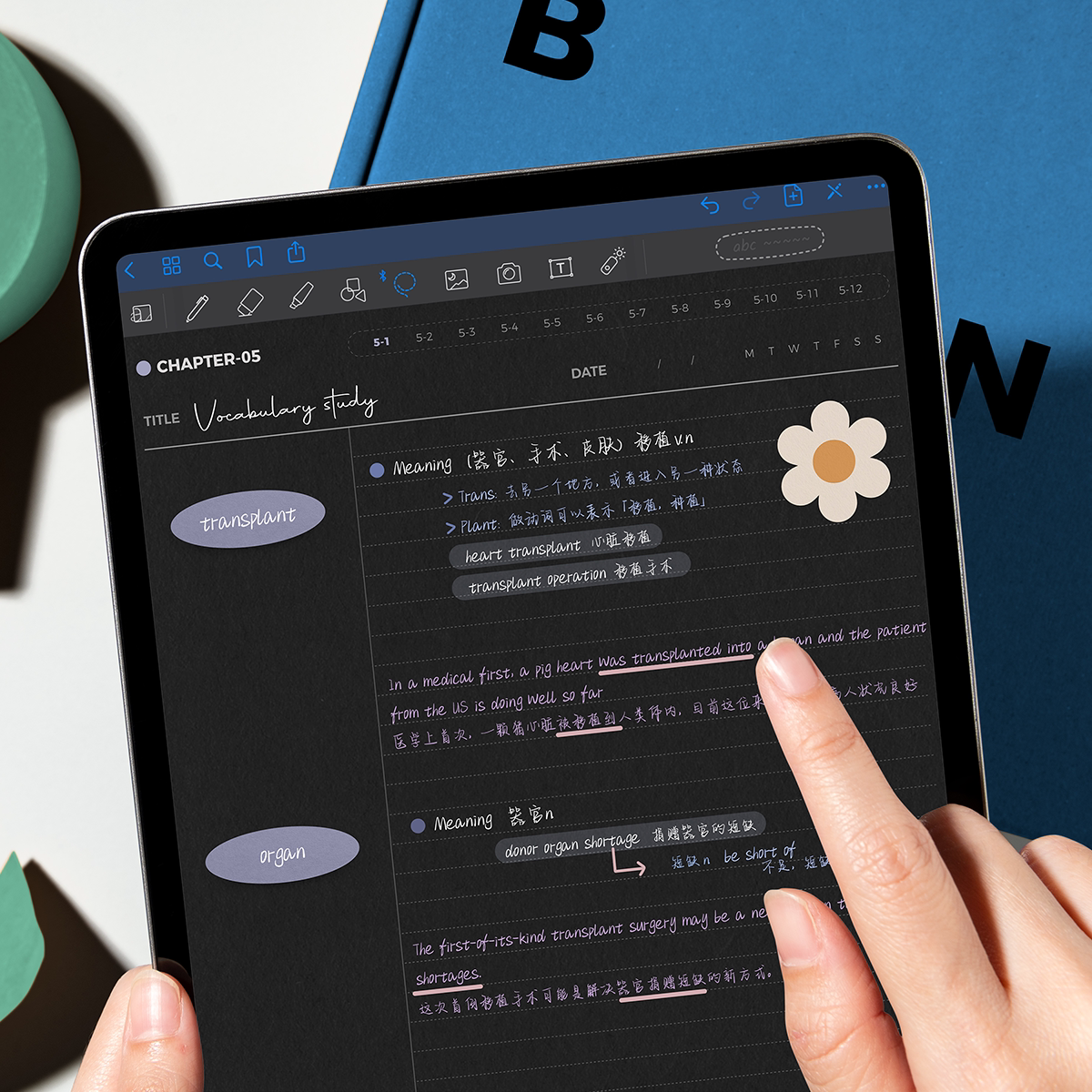 muoipad康奈尔电子笔记本notability手帐goodnotes学习模板笔记本