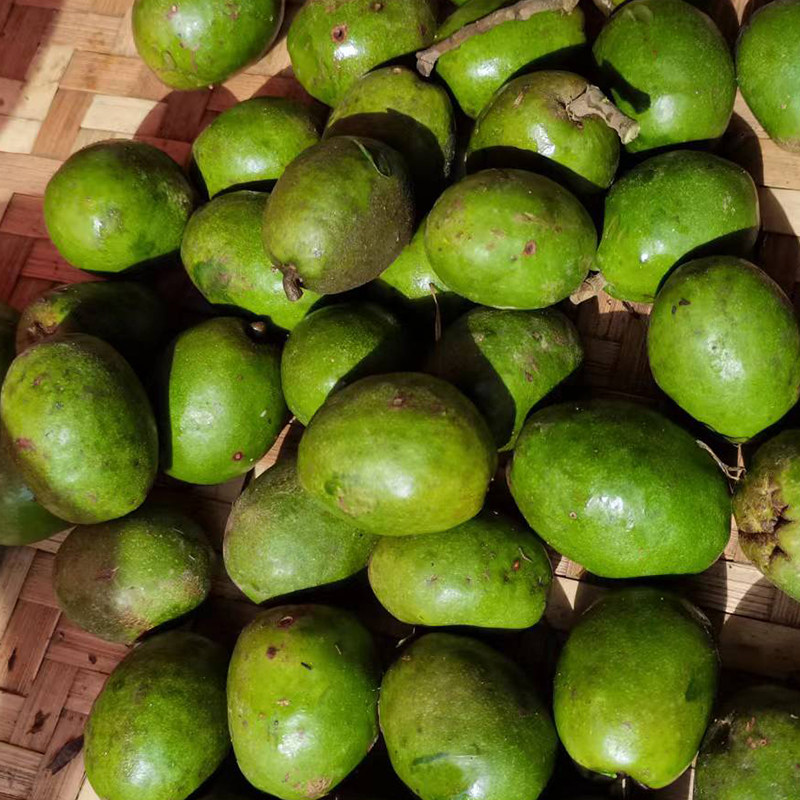 咳地新鲜云南克地腾冲野生生水果佬泡500克一份其它