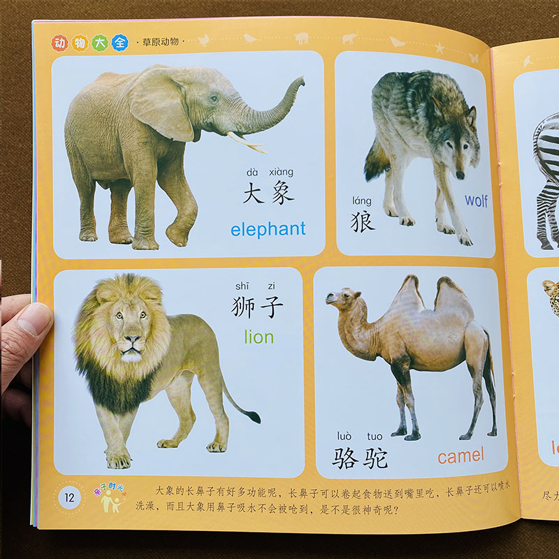 认识动物书宝宝动物认知书婴儿识别动物恐龙图片图卡 儿童看图识物学