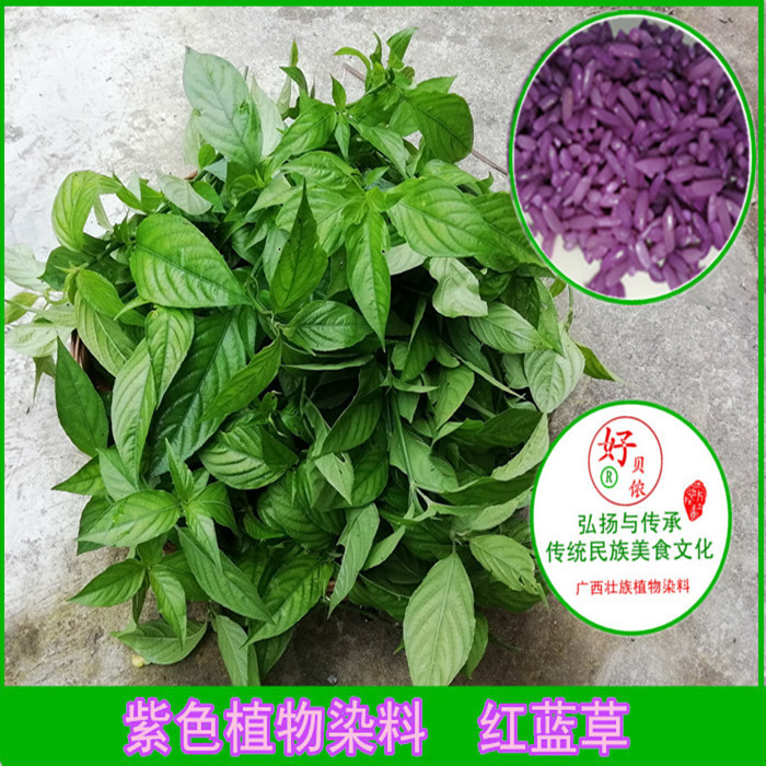 广西特产五色糯米饭植物染料染饭花密蒙花红蓝草黄饭