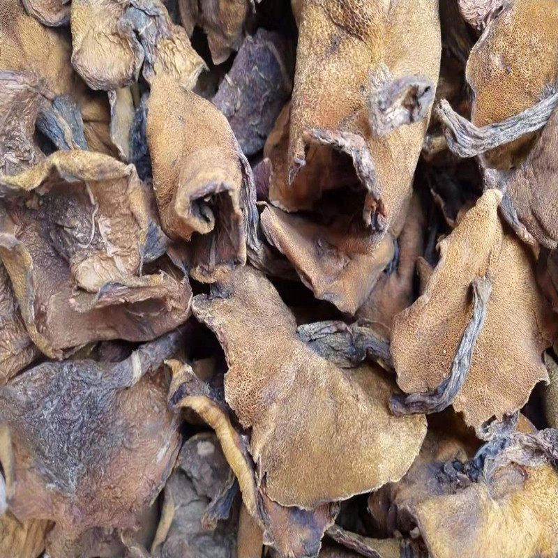 蘑菇松蛾泰山野生山东特产干货松菇小香香菇香菇类