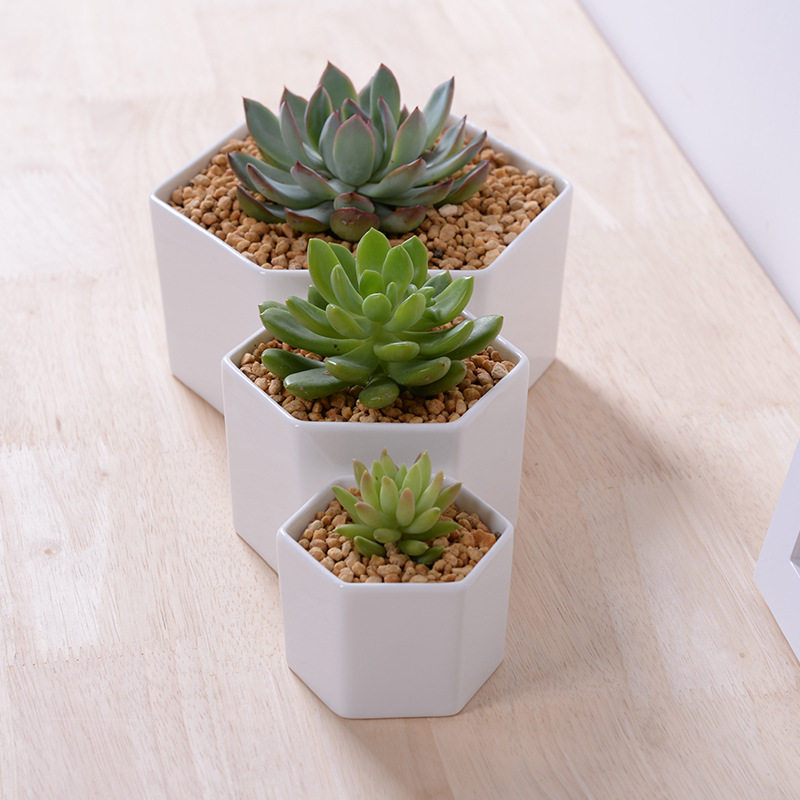 简约白瓷六边形多肉植物花盆花盆