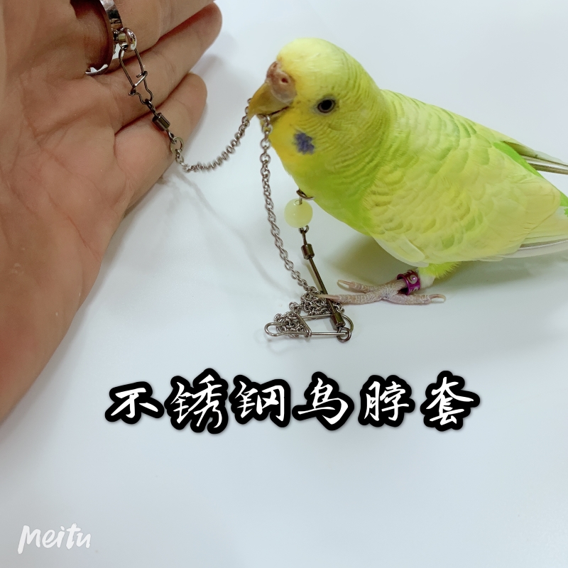 鹦鹉脖套野外小型鸟用脖绳鸟套套绳脚链画眉黄鹂蜡嘴八哥绳子锁链