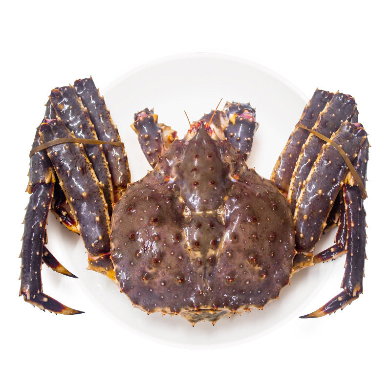 重庆新鲜活5斤海蟹深海鲜活螃蟹1只超大野生帝王蟹