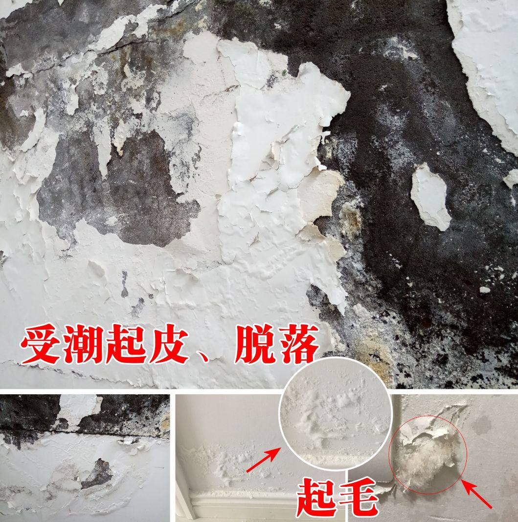 返碱墙面泛碱除碱泛碱处理室内墙面防水返碱防反碱涂料消碱剂除碱