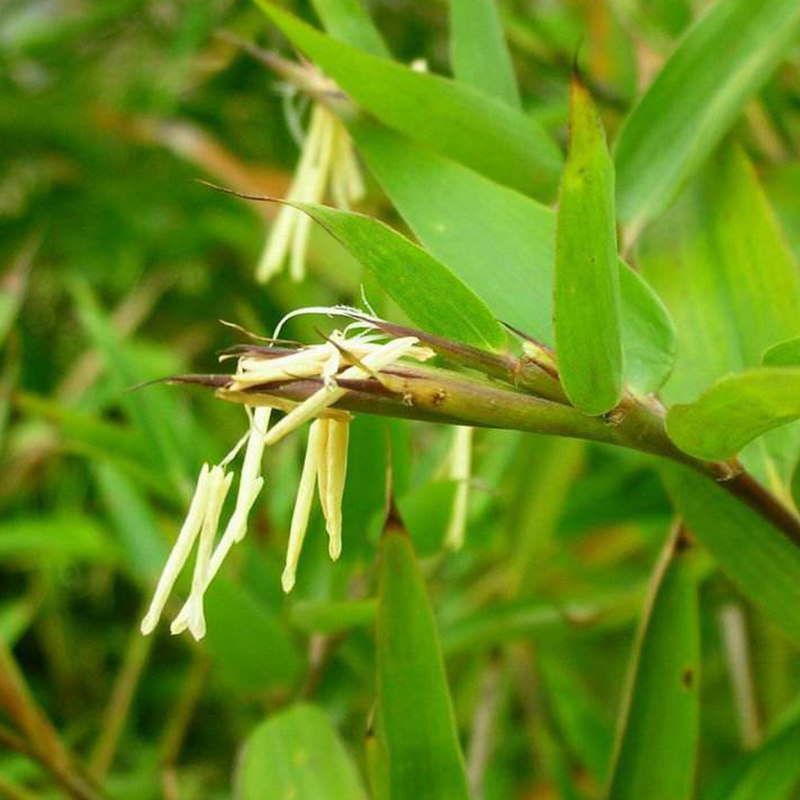 店去购买06158元发货地:湖北 神农架包邮06158折后:06158价格