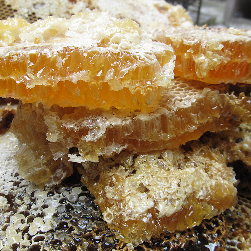 神农架崖蜜土蜂蜜山花蜜小瓶装云海映象20年新蜜吊索取蜜