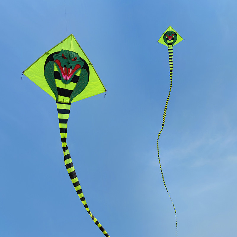 追风者风筝大型1530米眼镜王蛇风筝潍坊风筝青蛇风筝包邮