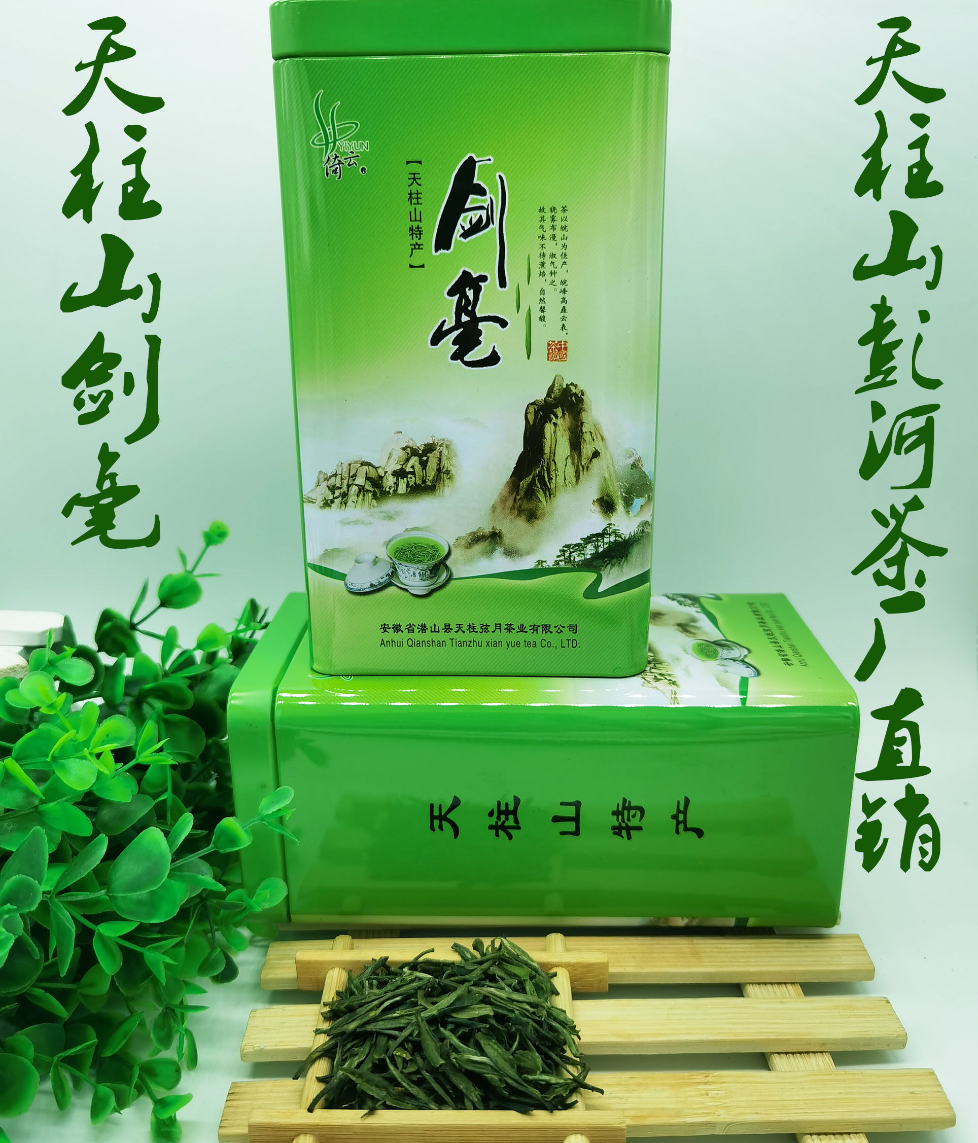 2022新茶天柱剑豪天柱山茶叶天柱剑毫潜山彭河炒青绿茶250克罐装