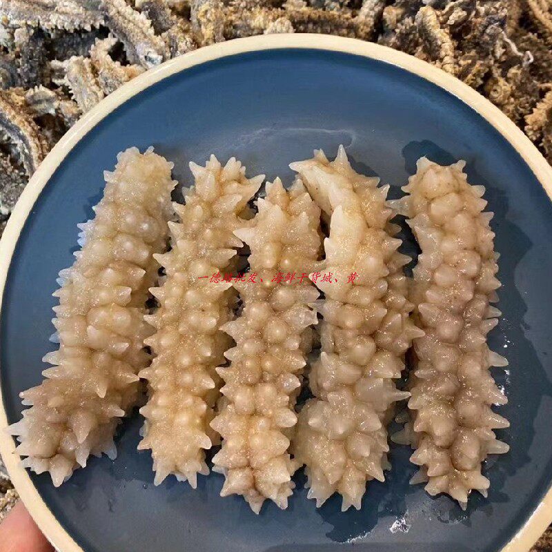 刺参印尼淡干刺黄新款深海天然野生海参水产海参