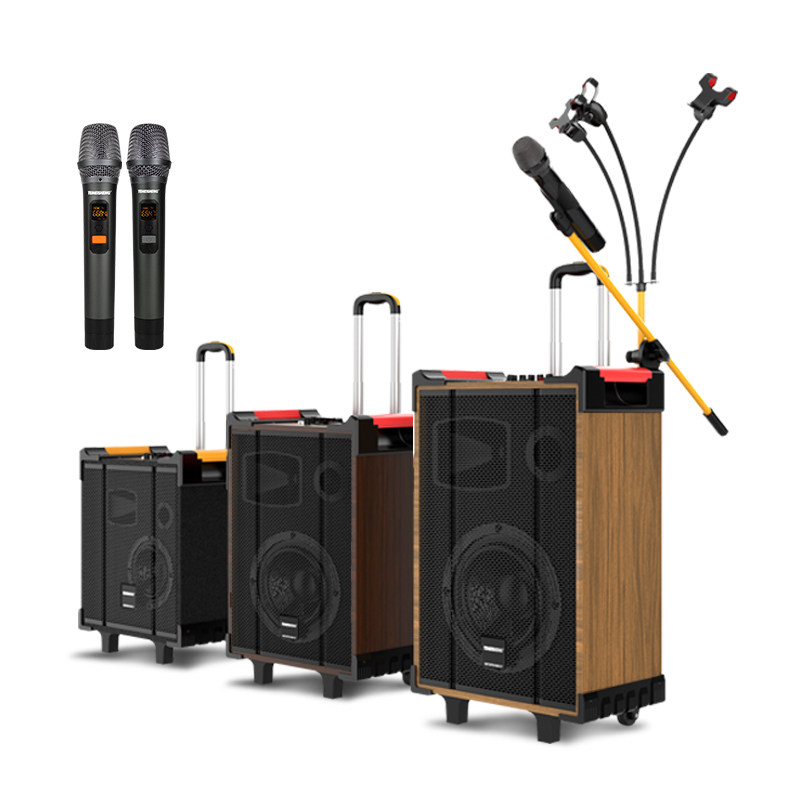 特美声带声卡低音拉杆户外广场舞音响直播大功率拉杆广场音箱