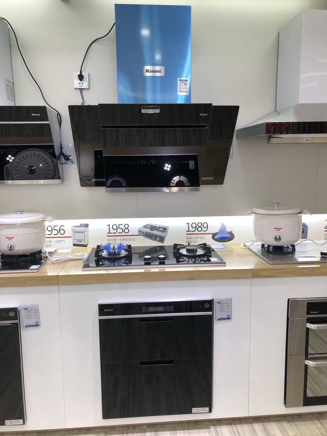 rinnai林内ztd110qag家用臭氧高温紫外线消毒柜嵌入式双门消毒柜