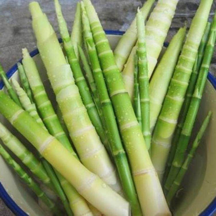 竹笋水竹新鲜野生春笋10斤农家手剥现挖广东笋类制品