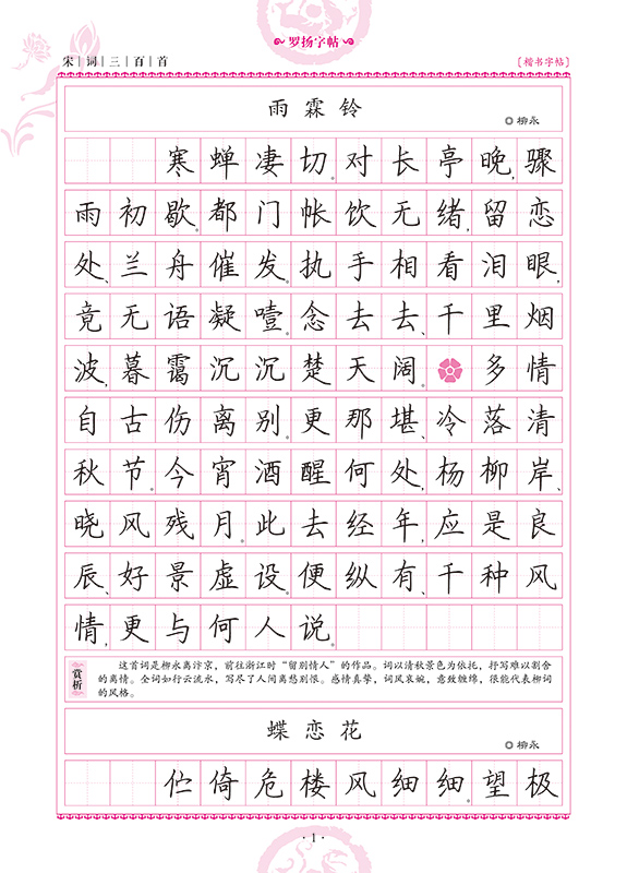 宋词三百学生必背宋词精选硬笔行书字帖 著名书法家罗扬字帖